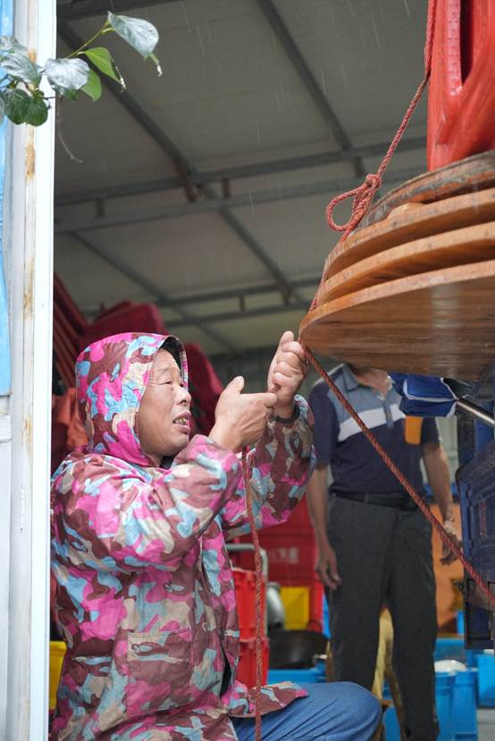 image016.jpg image016.jpg